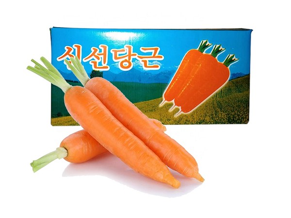 fresh carrot