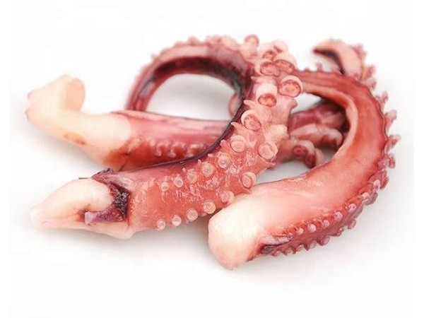 Blanched Squid Tentacle